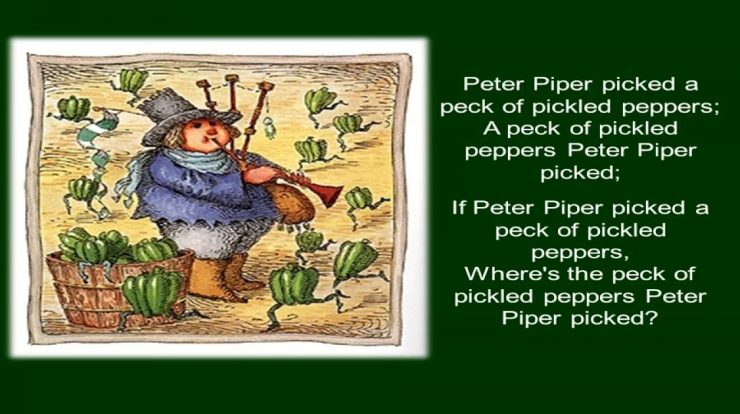 Peter piper peck college picked nursery pickled rhymes versus student peppers real would