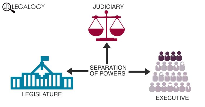 Which constitutional principle is best illustrated by the chart