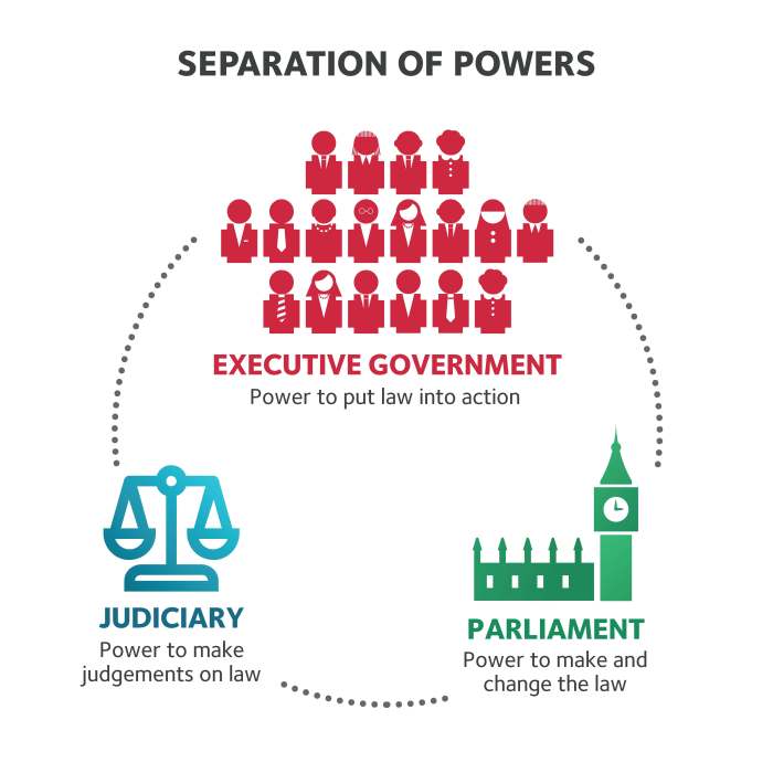 Which constitutional principle is best illustrated by the chart